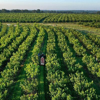 Local Spotlight: The Carpet Capital’s Chemical Problem