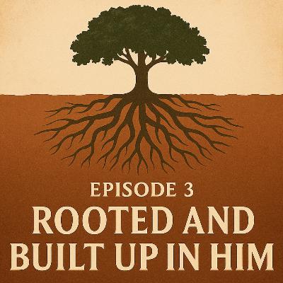 Rooted and Built in Him