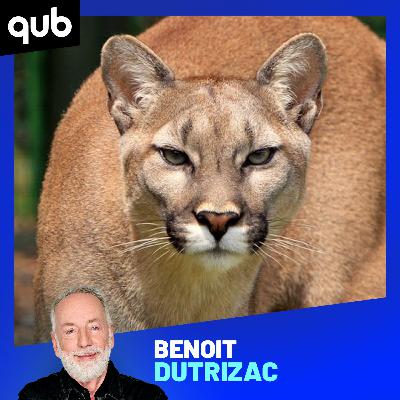 «Ils se sont mis à crier!»: des cyclistes ont eu toute une surprise !