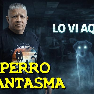 LOS DESVELADOS - VI PERRO FANTASMA EN MI TRABAJO