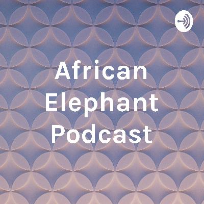 African Elephant Podcast