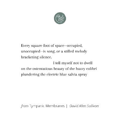 Three Poems by David Allen Sullivan