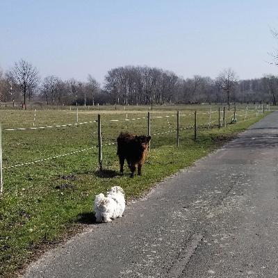 Wahre Stärke kommt von ... innen?!