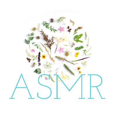 ASMR with book, squishy and microphone