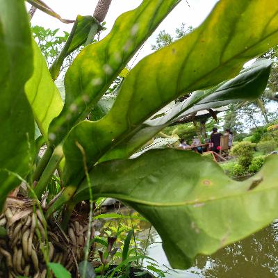 Mendapatkan Lailatul Qadr Mendapatkan Lailatul Qadr