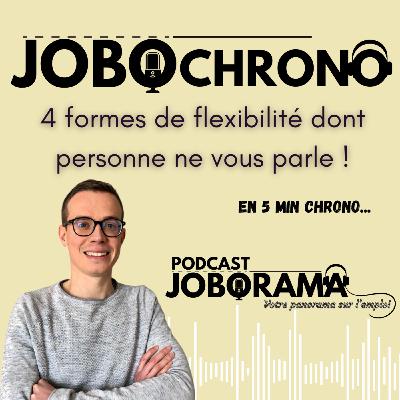 4 formes de flexibilité dont personne ne vous parle ! Coup de boost job & carrière en 5 minutes CHRONO