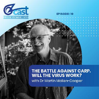 The battle against Carp: will the virus work? The battle against Carp: will the virus work?