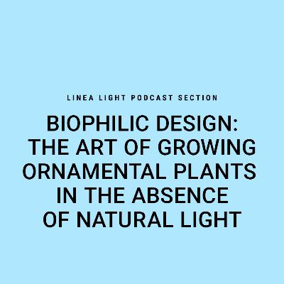 Biophilic design: the art of growing ornamental plants in the absence of natural light | Martina Alagna