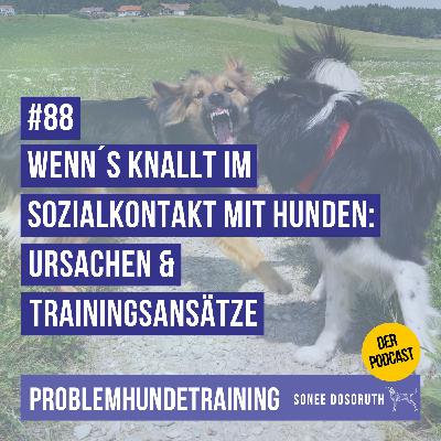 Wenn´s knallt im Sozialkontakt mit Hunden: Ursachen & Trainingsansätze Wenn´s knallt im Sozialkontakt mit Hunden: Ursachen & Trainingsansätze