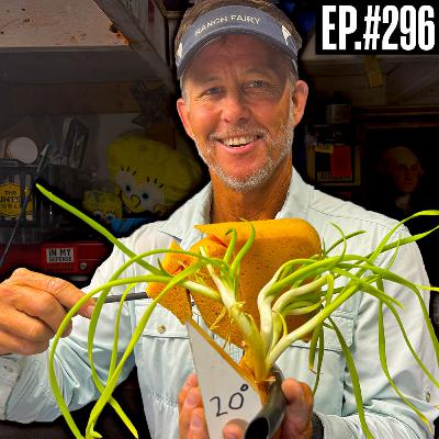 295. Deer Anatomy Myths DEBUNKED w/ Ranch Fairy