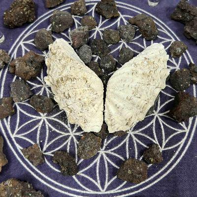 12042025 December Full Moon + Know Your Crystals