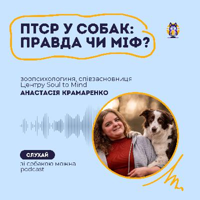 ПТСР у собак: Правда чи міф? Розповідає зоопсихологиня Анастасія Крамаренко