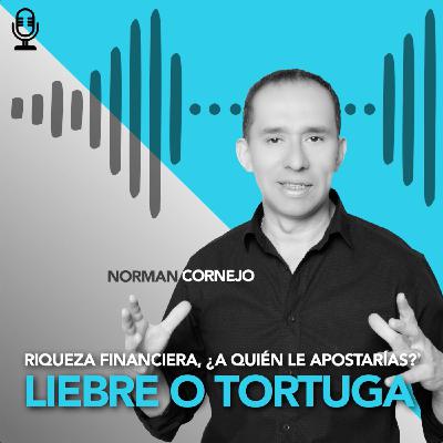Riqueza financiera, ¿A quién le apostarías? Liebre o tortuga
