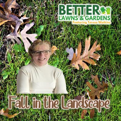 S2 Ep398: Better Lawns and Gardens - Hour 2 Fall Chores For The Landscape
