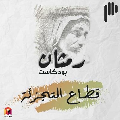 RP08: Retail Industry| قطاع التجزئة