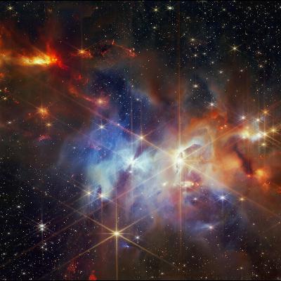 Mit Gas und Staub - Weihnachtssterne in der Schlange