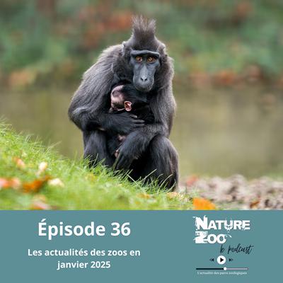 Épisode 36 (ACTU) - Les actualités en janvier 2025