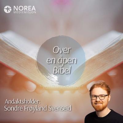 E2606 -4-Sondre Frøyland Svenseid - Både dom og nåde