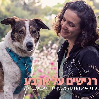 הציפייה שלנו מ״כלב מעבדה״, מארחת את מיקה פרנקל | פרק 63 הציפייה שלנו מ״כלב מעבדה״, מארחת את מיקה פרנקל | פרק 63