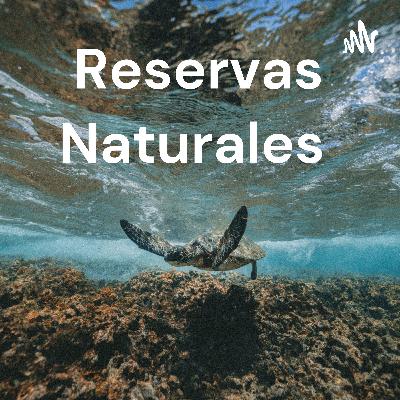 Reservas naturales