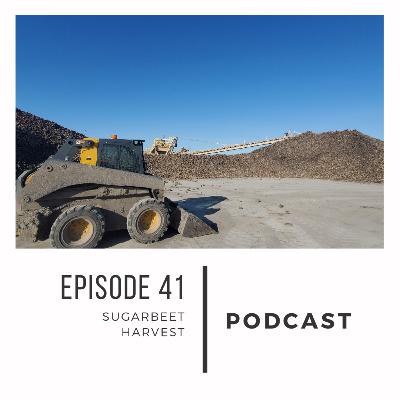 Episode 41: Sugarbeet Harvest