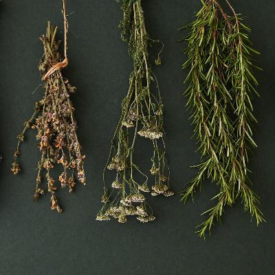 Mugdha Sapte on holistic healing, ayurveda, and rituals