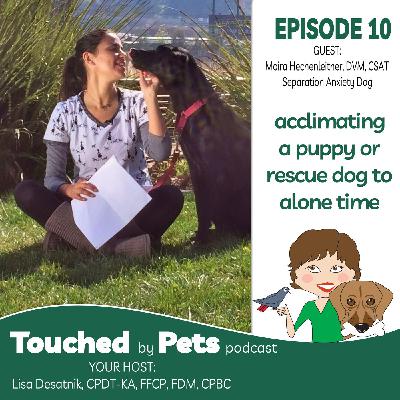 Episode 10:  Acclimating A Puppy Or Rescue Dog To Alone Time