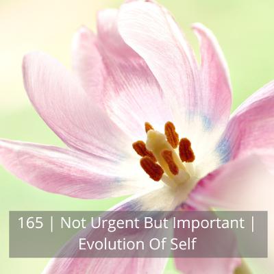 164: 165 | Not Urgent But Important | Evolution Of Self