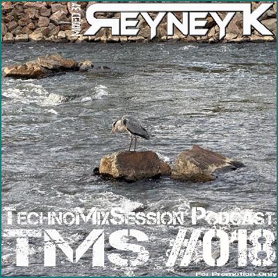 TMS #018 mixed by Reyney K