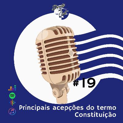 Episódio 19 - Direito Constitucional - Principais acepções