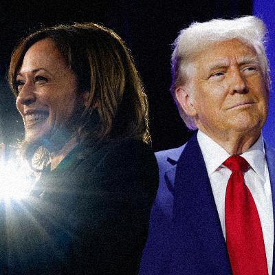 #390 — Final Thoughts on the 2024 Presidential Election