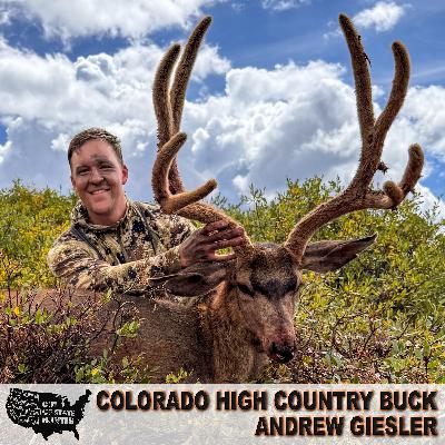 Colorado High Country Mule Deer – Andrew Giesler