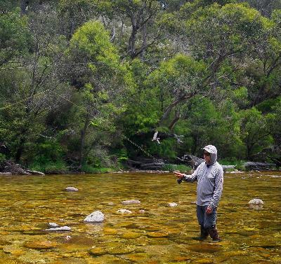 The Big Fish: Peachy at the National Fly Fishing Championships