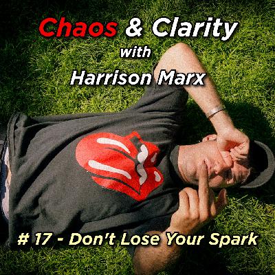 # 17 - Don't Lose Your Spark