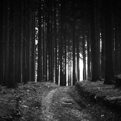 Un effort contre la paresse intellectuelle Un effort contre la paresse intellectuelle