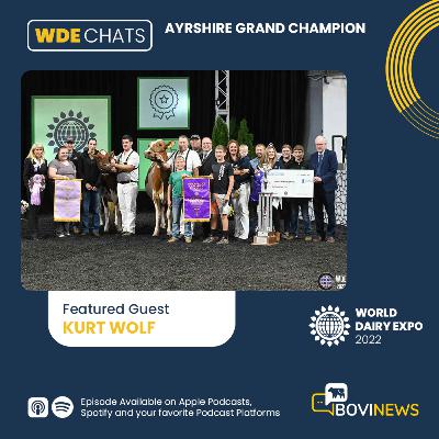 BoviNews WDE 2022 Chats: Ayrshire Grand Champion with Kurt Wolf