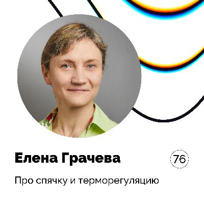 Про спячку и терморегуляцию — Елена Грачева Про спячку и терморегуляцию — Елена Грачева