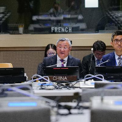 China-proposed Group of Friends of Global Governance established China-proposed Group of Friends of Global Governance established