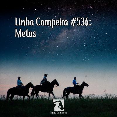 Episódio #536 - Metas