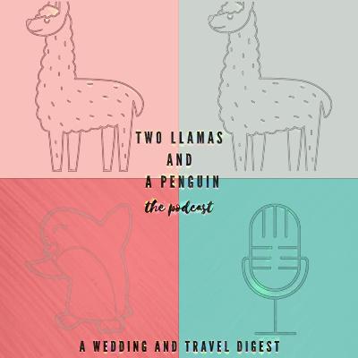 Two llamas and a penguin :: A wedding and travel digest :: Episode 1 :: an introduction to us