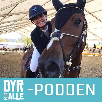Prinsesse Märtha Louise: - Jeg tror samfunnet hadde hatt stor nytte av at flere mennesker er i kontakt med hest og dyr