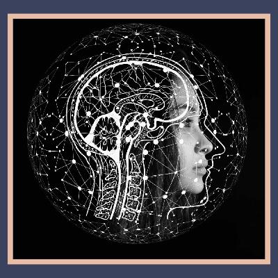 ÉPISODE 6 : TEAM ÉDUCATION FINANCIERE OU TEAM INTELLIGENCE FINANCIERE?