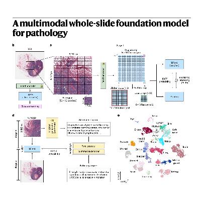 303-TITAN: Multimodal Whole-Slide Pathology Foundation Model 303-TITAN: Multimodal Whole-Slide Pathology Foundation Model