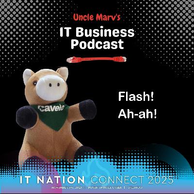 Flash by Cavelo: The Next MSP Tool (EP 929)