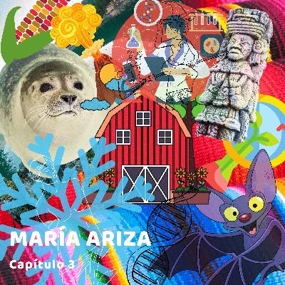 María Ariza