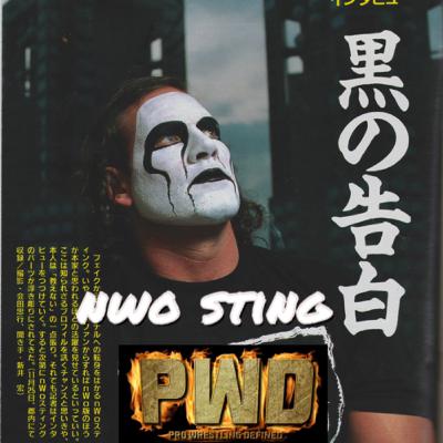Nwo Sting Jeff Farmer Interview