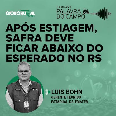 Após estiagem, safra deve ficar abaixo do esperado no RS
