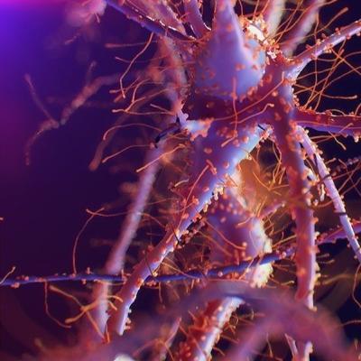 Esclerosis Lateral Amiotrófica (ELA)