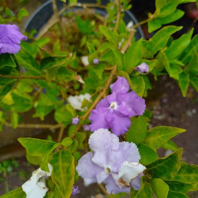 Serius pada 10 malam terakhir Serius pada 10 malam terakhir