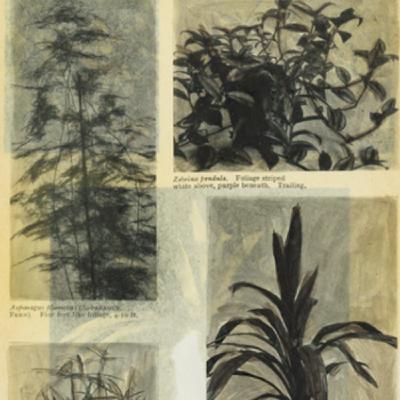 (Funding Recap #24) Bearhug Recruiting's Early & Growth Stage Tech Startup Funding Recap! 9/23/24